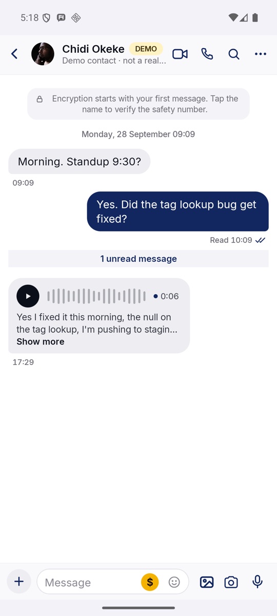 A voice note with its words underneath.